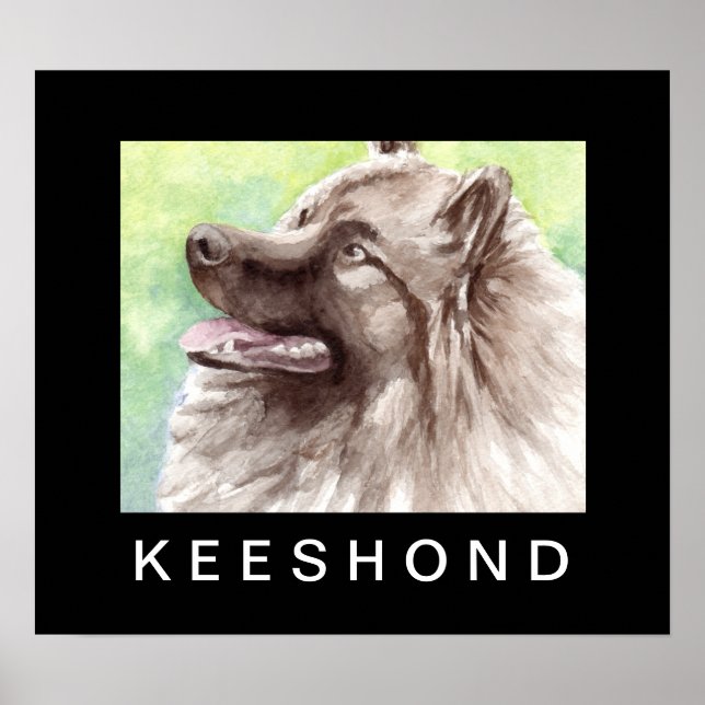 Keeshond akvarellporträtt poster (Framsidan)