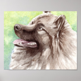 Keeshond akvarellporträtt poster