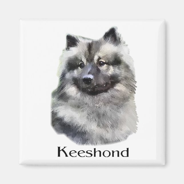 Keeshond Art Gifts Magnet (Framsidan)