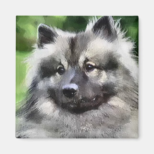 Keeshond Art Gifts Magnet (Framsidan)