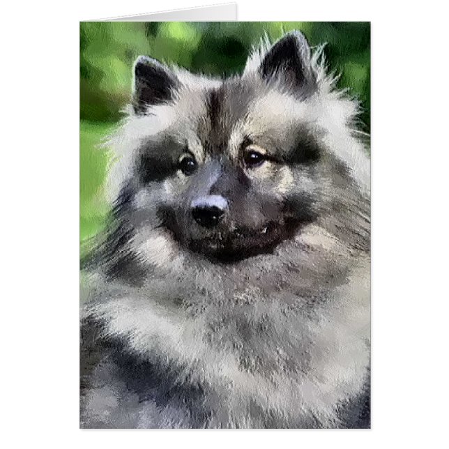 Keeshond Art Gifts OBS Kort (Framsidan)