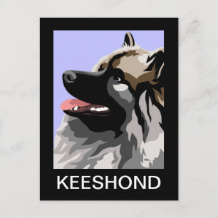 Keeshond Art Vykort