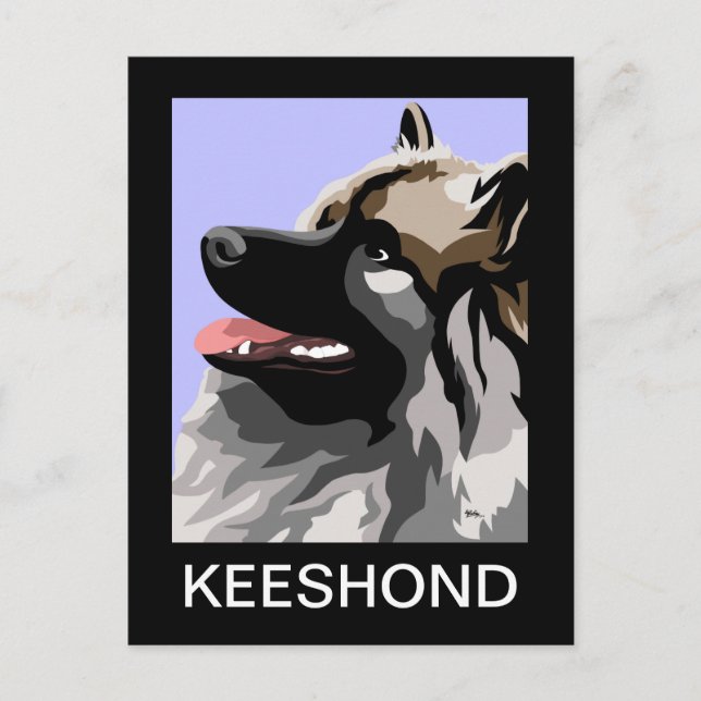 Keeshond Art Vykort (Framsida)