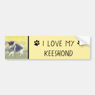 Keeshond Aspen-målning - Cute Original Hund Art Bildekal