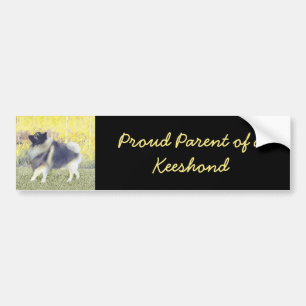 Keeshond Aspen-målning - Cute Original Hund Art Bildekal