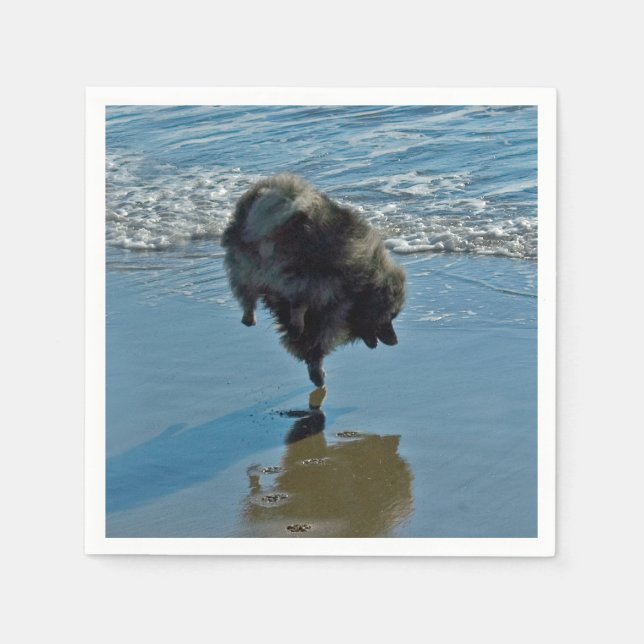 Keeshond Balett Fotografi - Söt Original Hund Kons Pappersservett (Framsidan)