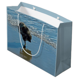 Keeshond Ballet Photograph - Cute Original Hund Ar