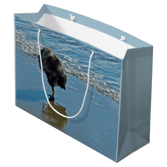 Keeshond Ballet Photograph - Cute Original Hund Ar (Baksidan Vinklad)
