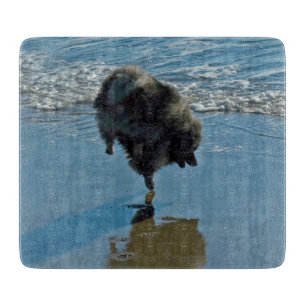 Keeshond Ballet Photograph - Cute Original Hund Ar