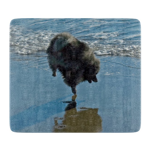 Keeshond Ballet Photograph - Cute Original Hund Ar (Framsidan)