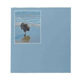 Keeshond Ballet Photograph - Cute Original Hund Ar Anteckningsblock
