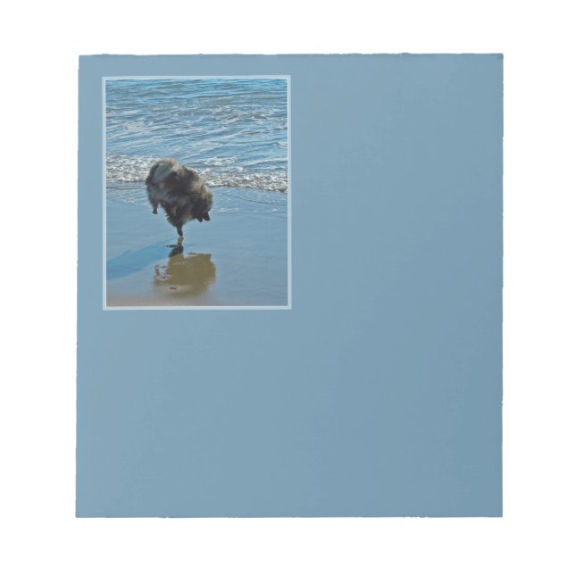 Keeshond Ballet Photograph - Cute Original Hund Ar Anteckningsblock (Framsida)