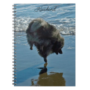 Keeshond Ballet Photograph - Cute Original Hund Ar Anteckningsbok