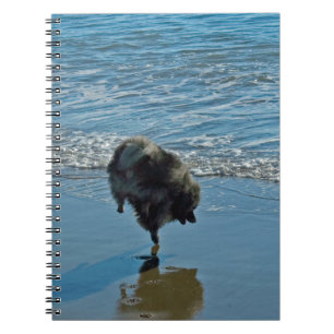 Keeshond Ballet Photograph - Cute Original Hund Ar Anteckningsbok Med Spiral