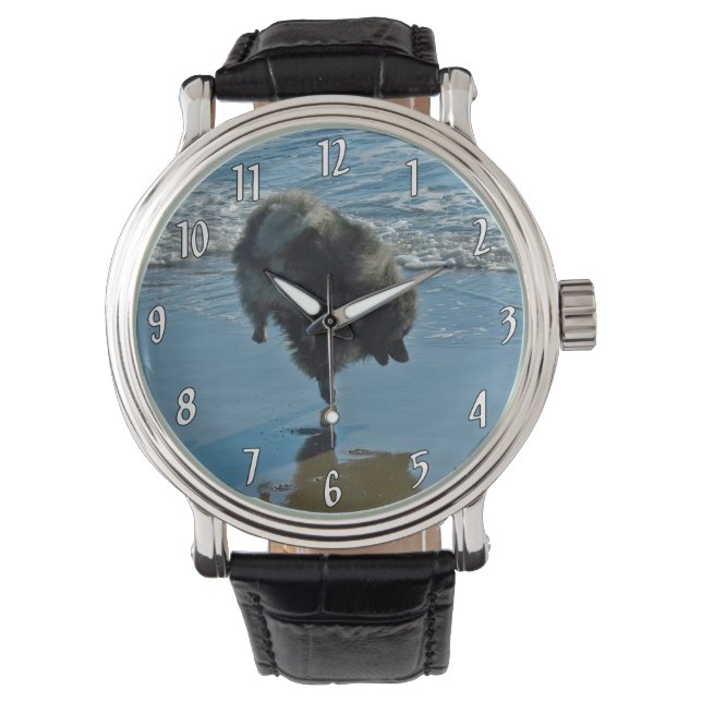Keeshond Ballet Photograph - Cute Original Hund Ar Armbandsur (Framsida)