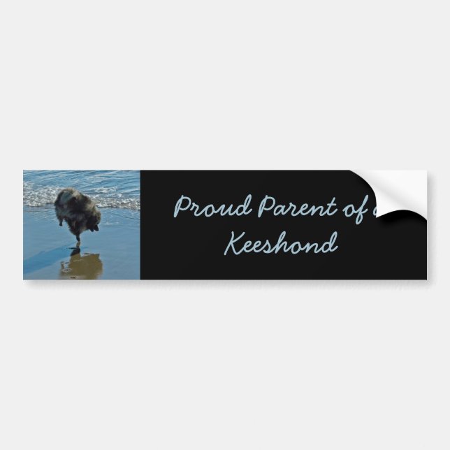 Keeshond Ballet Photograph - Cute Original Hund Ar Bildekal (Framsidan)