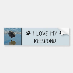 Keeshond Ballet Photograph - Cute Original Hund Ar Bildekal