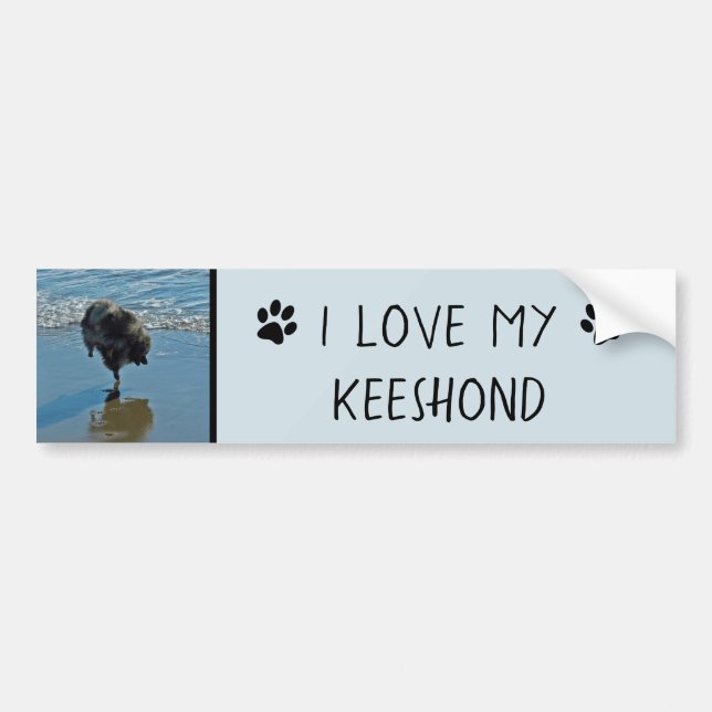 Keeshond Ballet Photograph - Cute Original Hund Ar Bildekal (Framsidan)