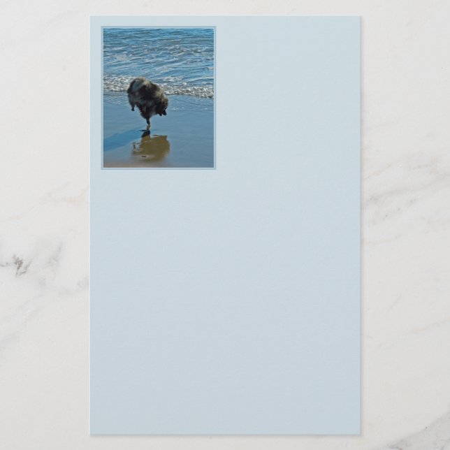 Keeshond Ballet Photograph - Cute Original Hund Ar Brevpapper (Framsida)