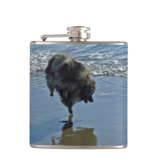 Keeshond Ballet Photograph - Cute Original Hund Ar Fickplunta (Framsidan)