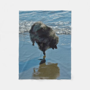 Keeshond Ballet Photograph - Cute Original Hund Ar Fleecefilt