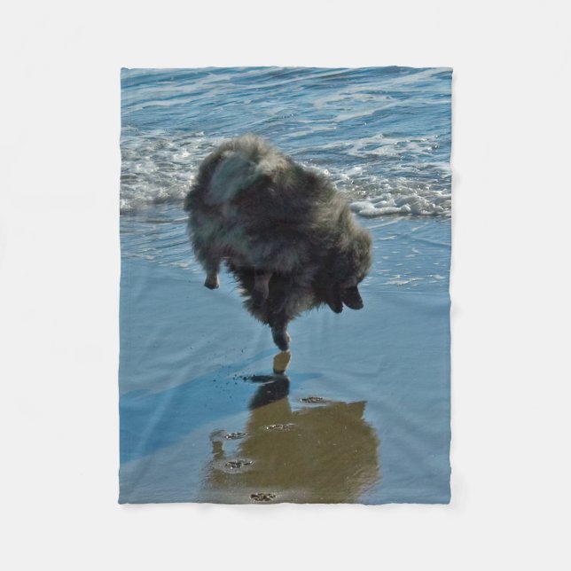 Keeshond Ballet Photograph - Cute Original Hund Ar Fleecefilt (Framsidan)