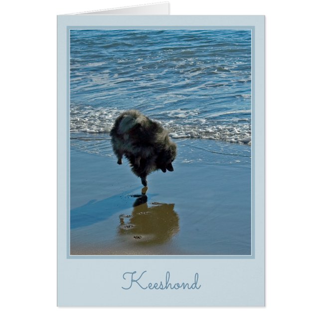Keeshond Ballet Photograph - Cute Original Hund Ar Hälsningskort (Framsidan)