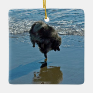 Keeshond Ballet Photograph - Cute Original Hund Ar Julgransprydnad Keramik