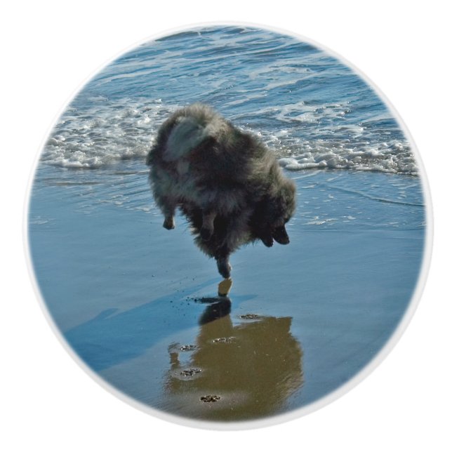 Keeshond Ballet Photograph - Cute Original Hund Ar Knopp (Framsidan)
