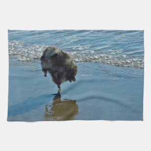 Keeshond Ballet Photograph - Cute Original Hund Ar Kökshandduk