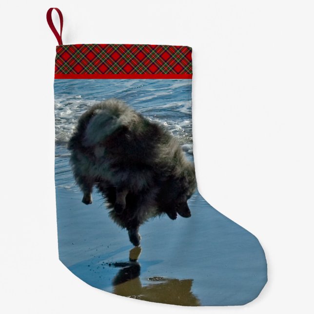 Keeshond Ballet Photograph - Cute Original Hund Ar Liten Julstrumpa (Framsidan)