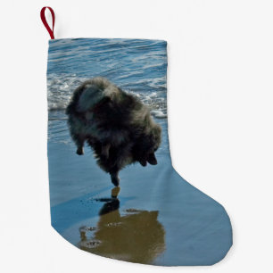 Keeshond Ballet Photograph - Cute Original Hund Ar Liten Julstrumpa