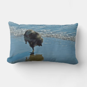 Keeshond Ballet Photograph - Cute Original Hund Ar Lumbarkudde