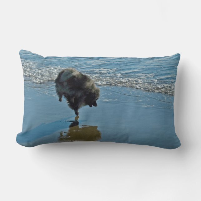 Keeshond Ballet Photograph - Cute Original Hund Ar Lumbarkudde (Framsida)