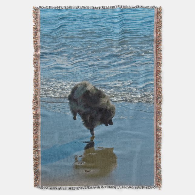 Keeshond Ballet Photograph - Cute Original Hund Ar Mysfilt (Framsidan Vertikal)