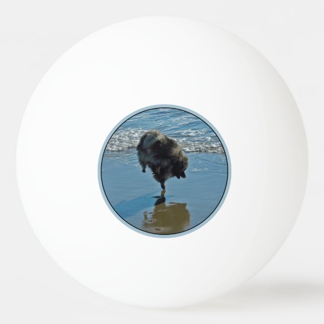 Keeshond Ballet Photograph - Cute Original Hund Ar Pingisboll (Framsidan)