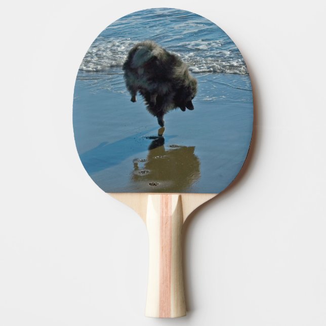 Keeshond Ballet Photograph - Cute Original Hund Ar Pingisracket (Framsidan)