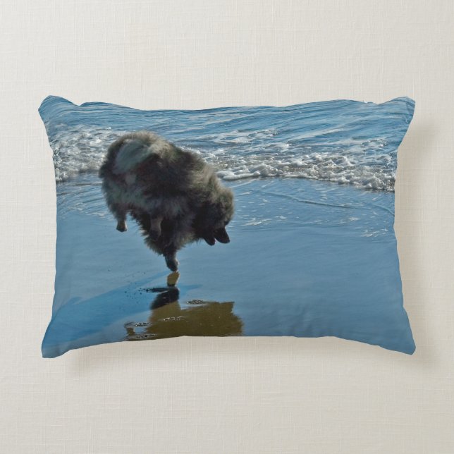 Keeshond Ballet Photograph - Cute Original Hund Ar Prydnadskudde (Framsidan)