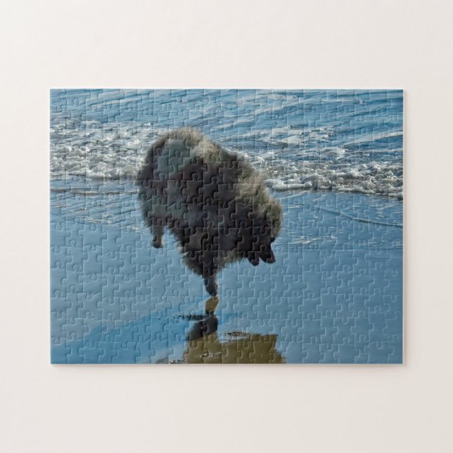 Keeshond Ballet Photograph - Cute Original Hund Ar Pussel (Horisontell)