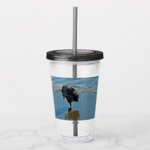 Keeshond Ballet Photograph - Cute Original Hund Ar Take Away Mugg