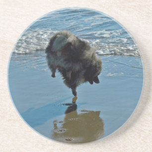 Keeshond Ballet Photograph - Cute Original Hund Ar Underlägg