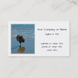 Keeshond Ballet Photograph - Cute Original Hund Ar Visitkort