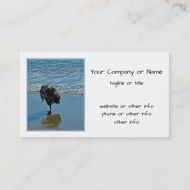 Keeshond Ballet Photograph - Cute Original Hund Ar Visitkort (Framsida)