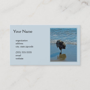 Keeshond Ballet Photograph - Cute Original Hund Ar Visitkort
