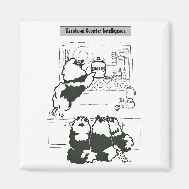 Keeshond Counter Intelligence Magnet (Framsidan)