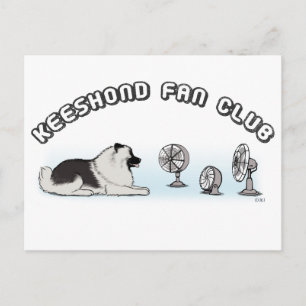Keeshond Fan Club Vykort