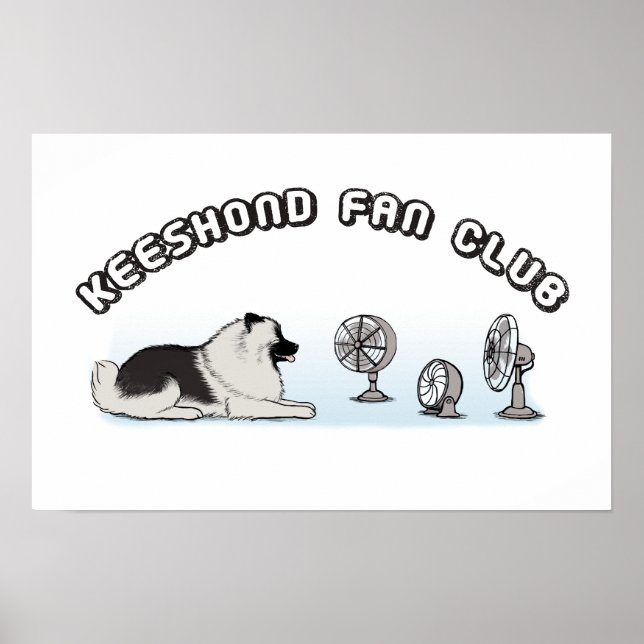 Keeshond Fläkt Klubb Poster (Framsidan)