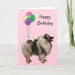 Keeshond födelsedagballonger kort