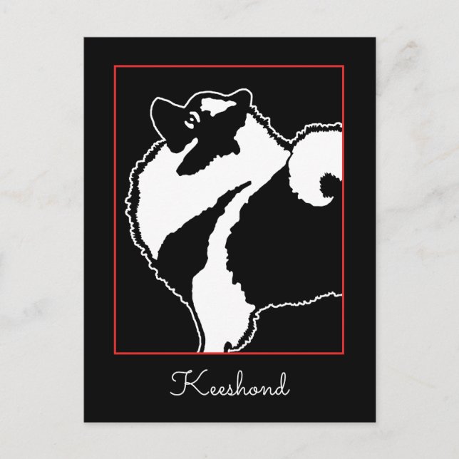 Keeshond Graphics - Cute Original Hund Art Vykort (Framsida)