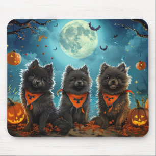 Keeshond Halloween Kuslig Musmatta